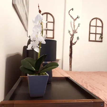 Angolino * 圣雷默